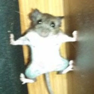 Meet your Posher, Leonora